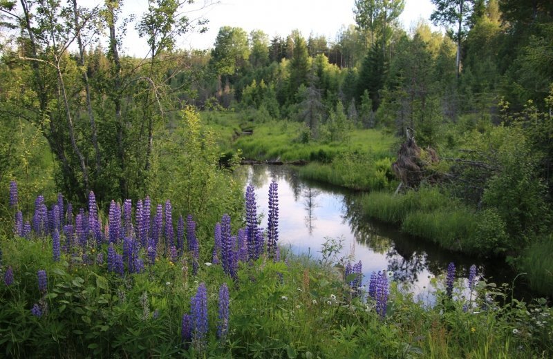 2698947444252136723298324427772337946387042n