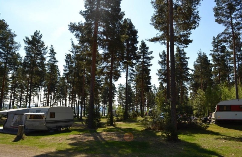 Camping Pitch with electricity (± 100m²)